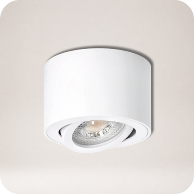 Opbouwspot (met lichtbron)